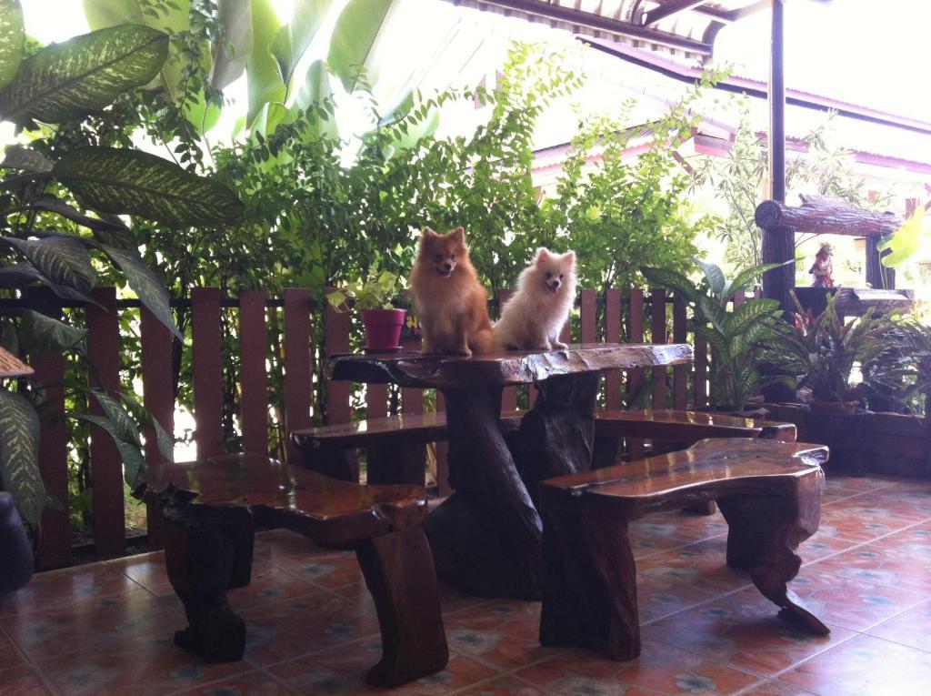 Nida Rooms Central 89 Plaza Resort Surat Thani Exterior foto